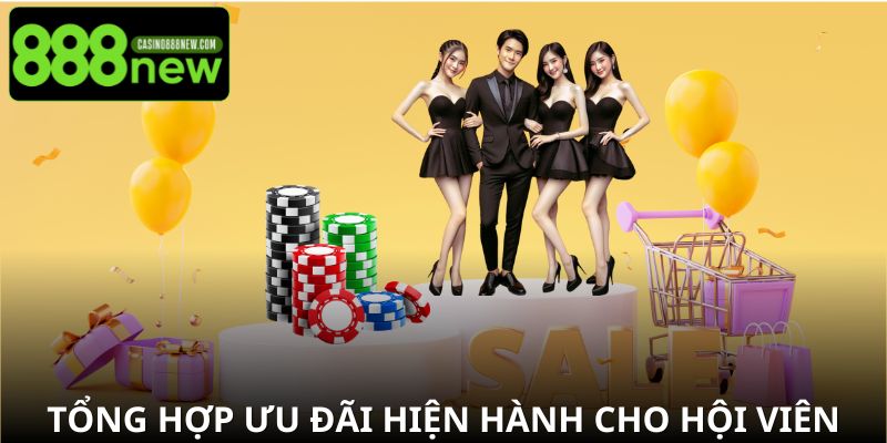 Ưu đãi đặc biệt dành cho hội viên mới